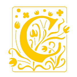 Cluricauns Rugby Sevens